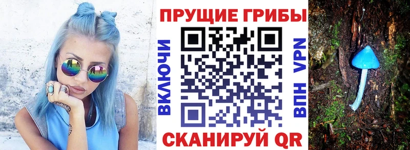 Галлюциногенные грибы мицелий  Бирюсинск 